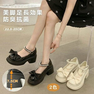 Ԍ3980~3280~7cmq[ pvX Xgbv | pvX fB[X łC C [t@[ O Vv [^pvX ʊw wC RXvC 2025 V