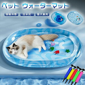 EH[^[}bg L  ybgp ovC}bg L  pxbh}bg ^ ^ Lp vC}bg  EH[^[}bg ybgxbh }bg EH[^[}bg R