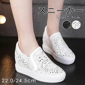 [ Cq[Xj[J[ ɂȂ fB[X    Xj[J[ EFbW\[ Xb| Cq[Xb| q[7.5cm Cq[Xj[J[ Xj[J[ yXb