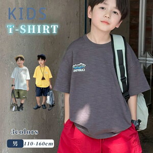 yԌ!2780~1980~zTVc q T-shirt t  gbvX  q LbY  ʊw w j̎q WjA ʊw i api Ƒ[ ӍՂ̓ qւ̃Mtg X}XM