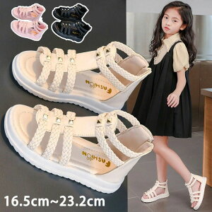 T_ qǂC t ̎q  PlC  PnT_ T_ LbY T_ ₷ LbYV[Y  w Ǝ sAm\ 16.5cm~23.2cm