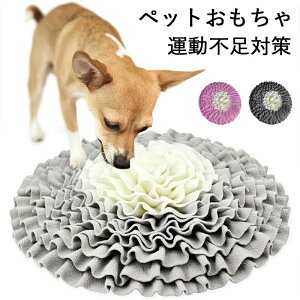 wxm[Y[N }bg ybg @Â܂ P}bg XgX ^s s  L ybgp aB}bg Pѕz 