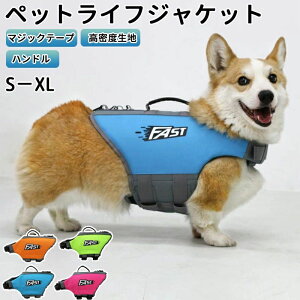 Ԍ^CZ[  CtWPbg p hbO ybg nhtxnS S  ^ ^ S -XL V v[ C V ~ ybgg