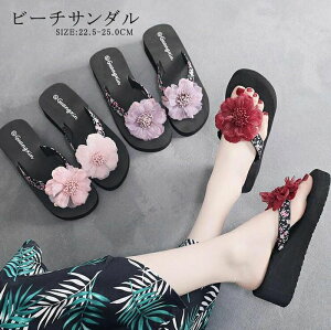 T_ fB[X  n y gOT_ ₷ q[ {T_ C ɂȂ ̎q W[p ^Ep p Sn  킢 y ~  r[