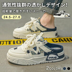 yԌ! 3560~2980~zXj[J[T_ Y ܂ܗC ƂȂT_ V[Y Xb| fbLV[Y ɂ ʋC K lC   Oo