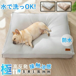 Ԍ^CZ[L xbh  xbh  Ɍ11cm ^ ^ ^ 􂦂 S/M/L/XL/2XL xbh  pxbh Lpxbh ̃xbh ybg   ⊴ ybgxbh NbV