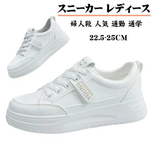 Xj[J[ fB[X   X|[c V[Y C EH[LOV[Y ^C jOV[Y ʋC ~ JWA r gAbv p wlC lC ʋ ʊw 풅p 