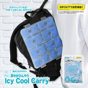 Icy Cool Carry ACV[N[L[ GR ΍ MǑ΍ MǑ΍ObY Ђ ⊴ l qǂ LbY JԂg ⊴ p ۗ bN xr[J[ hZ Ђ
