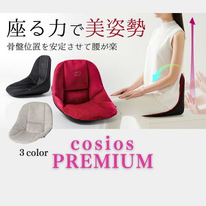 ՃT|[g `FA p ʔ cosios Premium RVIXv~A {[hNbV ֎q p֎q Ջ Ս֎q T|[gNbV jp w   ֎q 