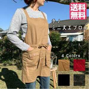 `m~jGv `mn RbgcC 100 Ch obNNX g V[g O ₷ |Pbgt y yz_[ fB[XGv ƃGv