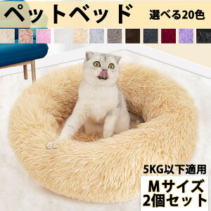  L ybgxbh 2Zbg MTCY ˂ Hp ~p Iׂ20F Lpxbh ybgpxbh tt g Lxbh 􂦂 lRxbh ̃xbh ~ pxbh L̃xbh t