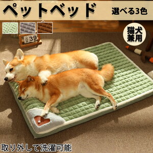ybgxbh 􂦂 ybgpbNXxbh H ~ tbg ybgnEX  L ~ t@Xi[B  pxbh Lpxbh  ʔN ʔN ̈U   