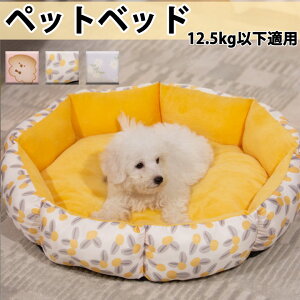 ybgxbh ^ p H~p H ~ lGp  sN CG[ p[v ^  TCY ybg\t@[ Lp  􂦂 ybgNbV  ӂӂ zc 