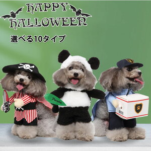  ϐg RXv ybg   2s ϐg  p_ zB T^ C  ^ nEB oGeB[ ybg m  