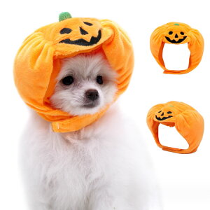 ybgXq ڂ nEB Halloween   J{` Xq Lnbg ybgpRXv EȒP L  L[g hbOEFA ʔ Be  ւ ϐgObY