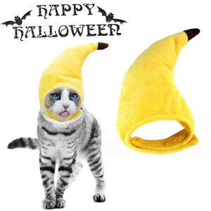 ybgXq oii nEB Halloween   Xq Lnbg ybgpRXv EȒP L  L[g hbOEFA ʔ Be  ւ ϐgObY ybgpi