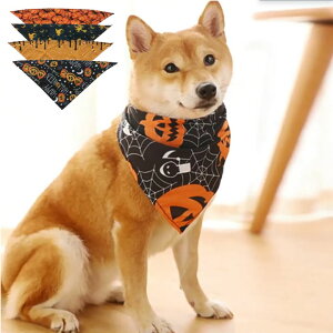 ybg̕ nEB  J{` w  }t[ GUxXJ[ Halloween   ybgpRXv ʔ Be  ւ EȒP  L hbOEFA 
