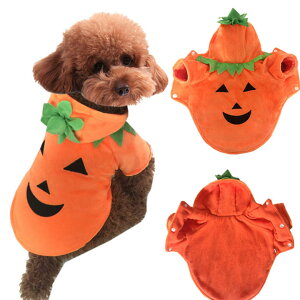 pp[J[   nEB RXv ڂ halloween ߑ   p[J[  RX`[ hbOEFA ybgEFA ^ ^   킢 g p