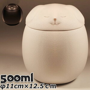 ybgp p   킢 ybgp 500ml ubN zCg  ~jTCY I[ AObY  L `  e  ybg P[X  