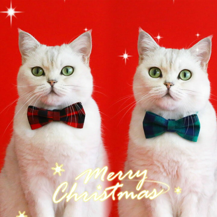 楽天市場】首輪 ペット用 猫 小型犬 クリスマス レッド グリーン 