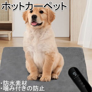 ybgpzbgJ[ybg L  ybg ې Mpbh ~̃ybg g }bg \ ΍ g[ x ybgpdM}bg q[^[ ~ g[  ^ dCѕz d