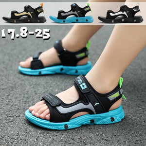 2024Vi X|[c T_ LbY ̎q j̎q T_  q T_ qC }WbNe[v xr[T_ Xj[J[ r[` AEghA  y RtH[g Ȃ 