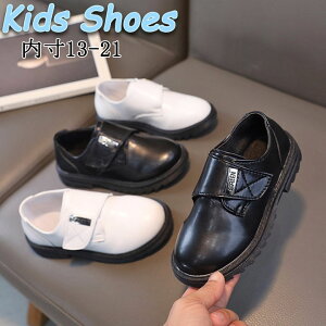 tH[} V[Y j̎q ubN zCg  [t@[ tH[}C LbY C q V[Y j WjA Ǝ w   ʊw ܎O  