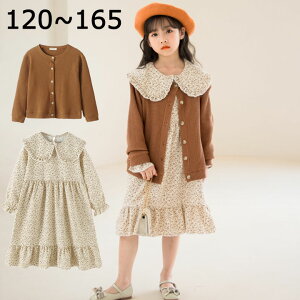 s[X H LbY ԕ  2_Zbg w jbg J[fBK XK[ q  ㉺Zbg uE ̎q ۋ s[X IV  q JWA ʊw q