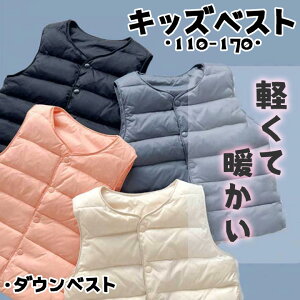 _ExXg j̎q n xXg AE^[ LbY ̎q m[X[u Vv ~ _bN_E xXg q _E H t h q ǂ AEghA LbYxXg   C