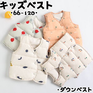 _bN_E ̎q j̎q xXg  Iׂ16 LbY g y h q Ci[ _ExXg ʊw ʉ  AE^[ xXg m[X[u LbYxXg ~ q _E