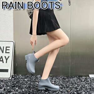 CV[Y  Y jp n C JC fB[X 23-27 Jbv Vv Cu[c C V[g AEghA Sh ubN O[ O[ L zCg 