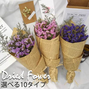 ̓ hCt[ ܕt  j hV̓  ԑ  ԍ sv i`  vU[uht[ a ͂Ȃ t[  CeA   Mtg v