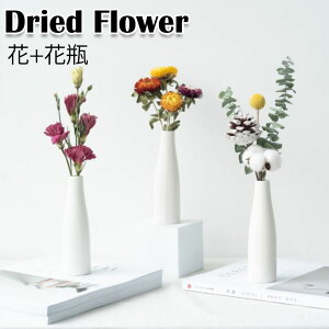 ̓ hCt[ v[g ԕrt    +ԕr̃Zbg j hV̓ ԑ  ԍ  sv i` vU[uht[ a ͂Ȃ t