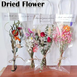 ̓ hCt[ ꂢ hV̓ ܕt  ԑ  ԍ sv i`  vU[uht[ a ͂Ȃ t[  CeA   