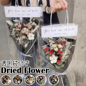 hCt[ ̓ ꂢ Iׂ15F ܕt  vU[uht[ hV̓ ԑ  ԍ sv i`  a ͂Ȃ t[  CeA 