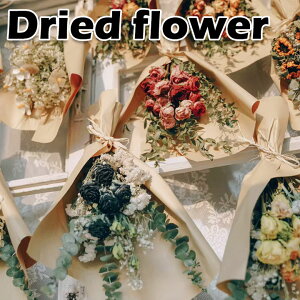 hCt[ ԑ ꂢ Iׂ9F o ̓   vU[uht[ hV̓  ԍ  sv i`  a ͂Ȃ t[  Ce