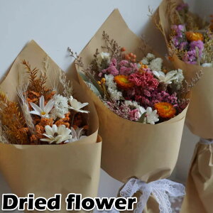 hCt[ ̓ ԑ ꂢ Iׂ5F o   vU[uht[ hV̓  ԍ sv  i`  a ͂Ȃ t[  Ce