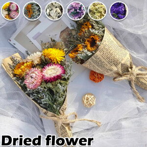 hCt[ ԑ ꂢ hV̓ ̓ Iׂ11F   i`   vU[uht[  ԍ sv a ͂Ȃ t[  CeA 