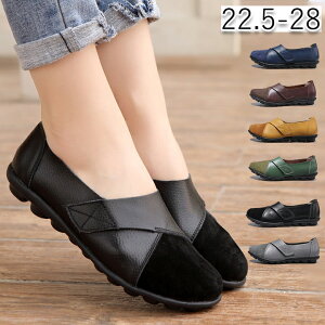 [t@[ fB[X pvX Xb| Iׂ9F 傫TCY JWA Sn V[Y p ₷ ʋ ʊw d  EȂ A