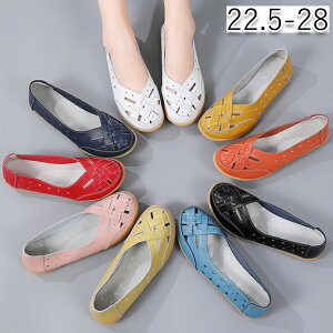 [t@[ fB[X JWA ʋC t Xb| Iׂ9F Vv 傫TCY Sn V[Y pvX p ₷ ʋ ʊw d  EȂ A