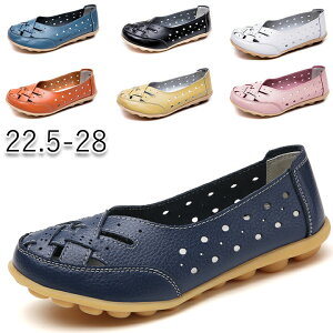 [t@[ fB[X ʋC t pvX Vv Xb| ʋ Iׂ9F 傫TCY JWA Sn V[Y p ₷ ʊw d  EȂ A