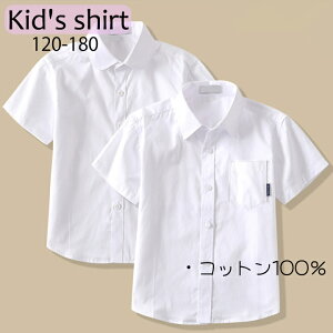 LbYVc CVc  j̎q ̎q w ʊw Rbg100  Vc  zCg Vc tH[} qVc  Ǝ wZ w  sAm \ 