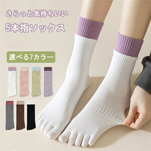 C fB[X 5{w \bNX X|[c\bNX N[  Vv  t  d  Lk  