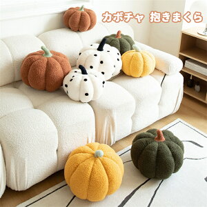  ܂ v~A ʂ J{` NbV 킢   Mtg v[g