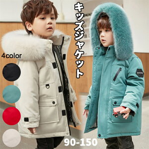 LbY AE^[  q ȕ h 킢 q _E j̎q R[g t[ht h H~ t@bV LbYWPbg ~ p[J[ ȃWPbg ۉ h  ʊw 