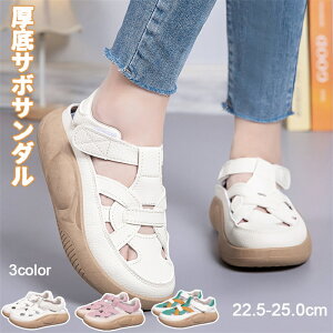 T{T_ fB[X q[4cm Xb|  JWA V[Y yʐ݌v ~ r ʋCK ʋC t  EH[LOV[Y T_ Xj[J[ 22.5cm-25.0