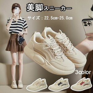 Xb| fB[X Xj[J[  V[Y C  WjA y C\[  L b r 킢 Xj[J[ EH[LO ₷ ₷ ɂ ꂢ 