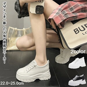 Xj[J[ fB[X Xj[J[  EH[LOV[Y y ₷ Ȃ ^C h V[Y L ʋ ʊw Cq[ 7.5cm gAbv y 22.0-25.5cm