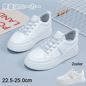 Xj[J[ fB[X   X|[c V[Y C q[3.5cm EH[LOV[Y ^C jOV[Y ʋC ~ JWA r gAbv p wlC lC ʋ ʊw