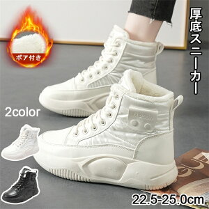 Xj[J[ fB[X Xj[J[ }WbNe[v EH[LOV[Y gAbv 3cm UP ʋC Ȃ ₷ EH[LOV[Y L ~߂ƑϖՐ r ʊw ʋ 